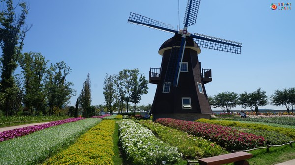 순천만 공원 내에는 다양한 컨셉의 세계정원이 있다. 사진은 네덜란드 정원의 모습.