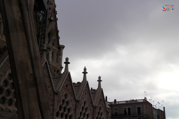 스페인 바르셀로나 여행 '사그라다파밀리아' 안토니 가우디 작품 공사장이 곧 전시장 같은 곳 < 해외여행 < 기사본문 - 스마트라이프